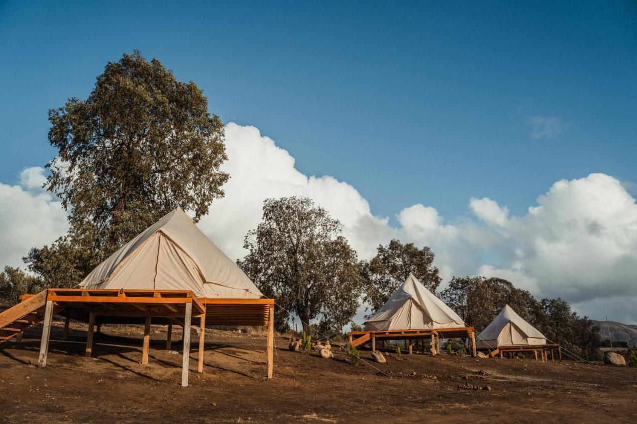 Lago Valle Wine Glamping Valle de Guadalupe Eksteriør bilde