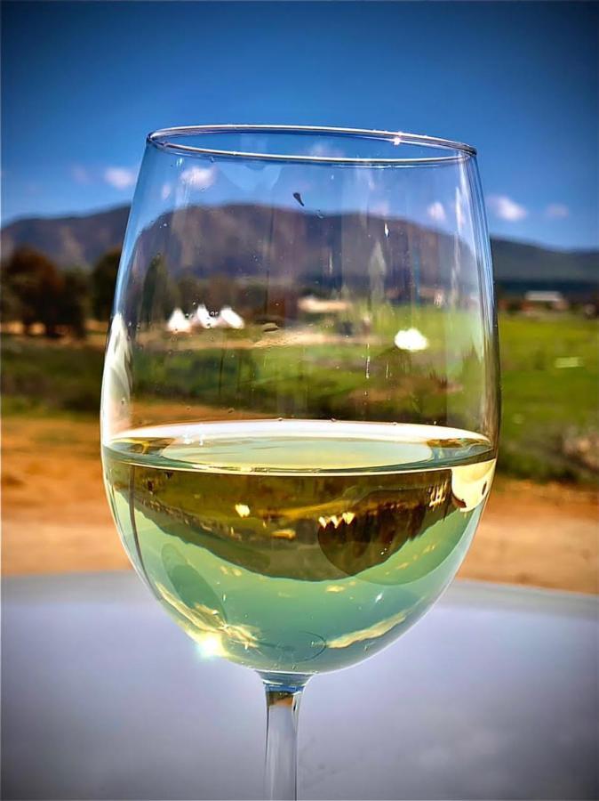 Lago Valle Wine Glamping Valle de Guadalupe Eksteriør bilde
