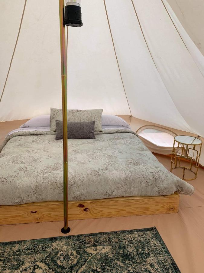 Lago Valle Wine Glamping Valle de Guadalupe Eksteriør bilde