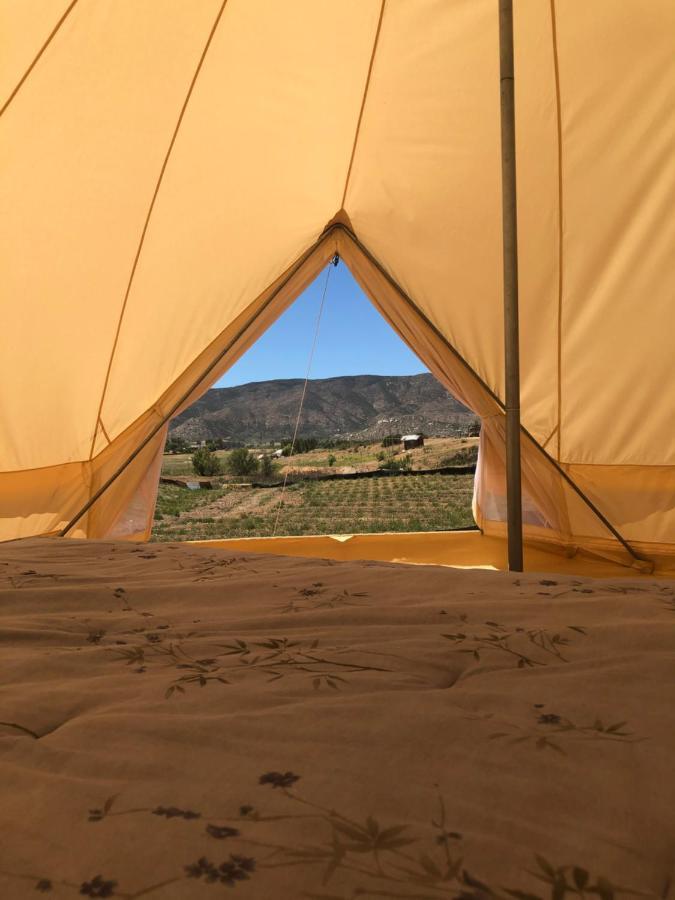 Lago Valle Wine Glamping Valle de Guadalupe Eksteriør bilde