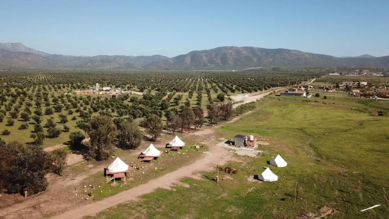 Lago Valle Wine Glamping Valle de Guadalupe Eksteriør bilde