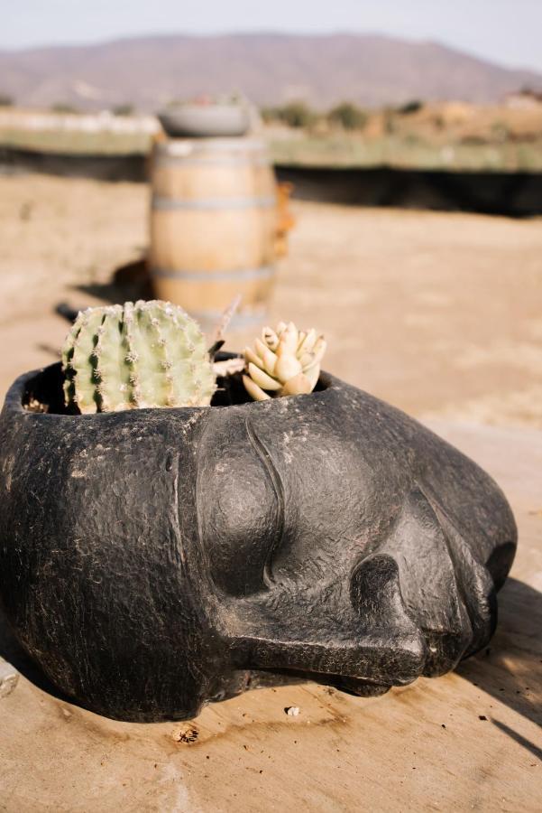 Lago Valle Wine Glamping Valle de Guadalupe Eksteriør bilde