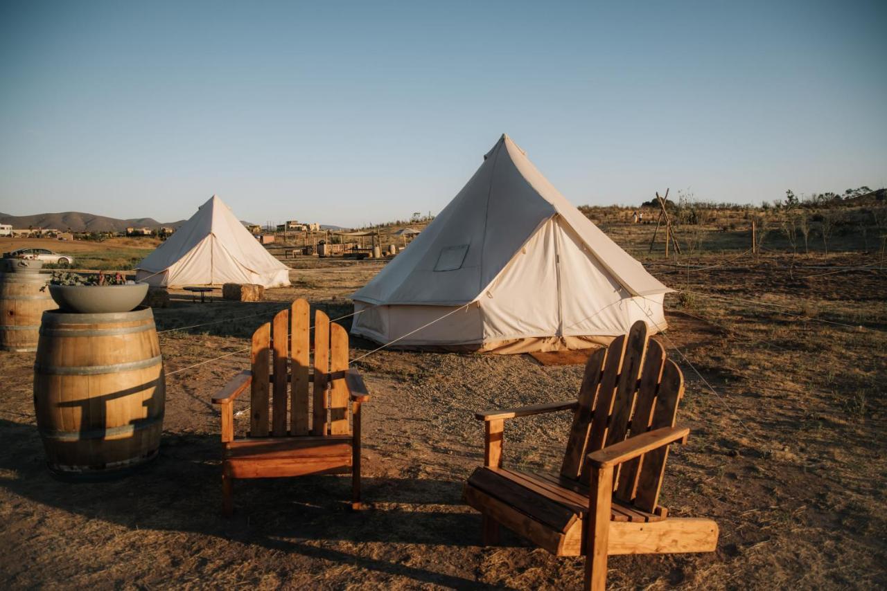Lago Valle Wine Glamping Valle de Guadalupe Eksteriør bilde