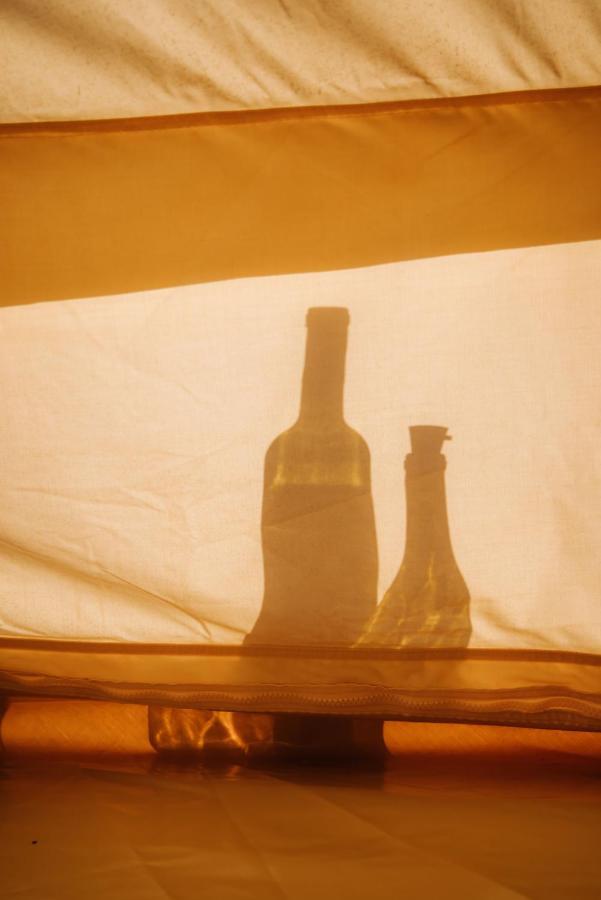 Lago Valle Wine Glamping Valle de Guadalupe Eksteriør bilde