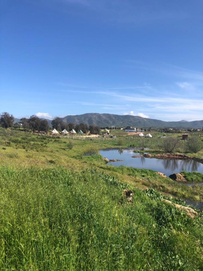 Lago Valle Wine Glamping Valle de Guadalupe Eksteriør bilde