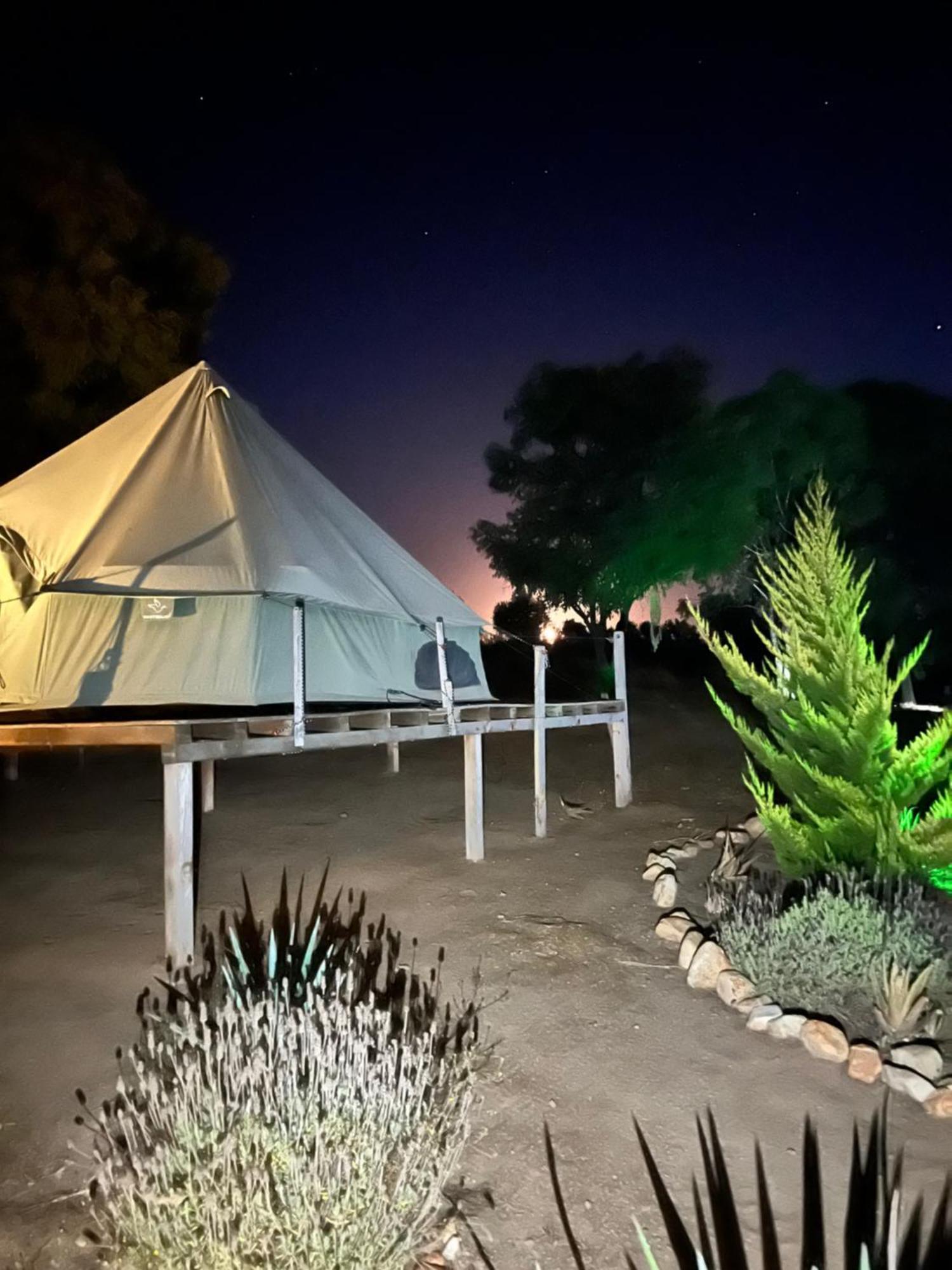 Lago Valle Wine Glamping Valle de Guadalupe Eksteriør bilde