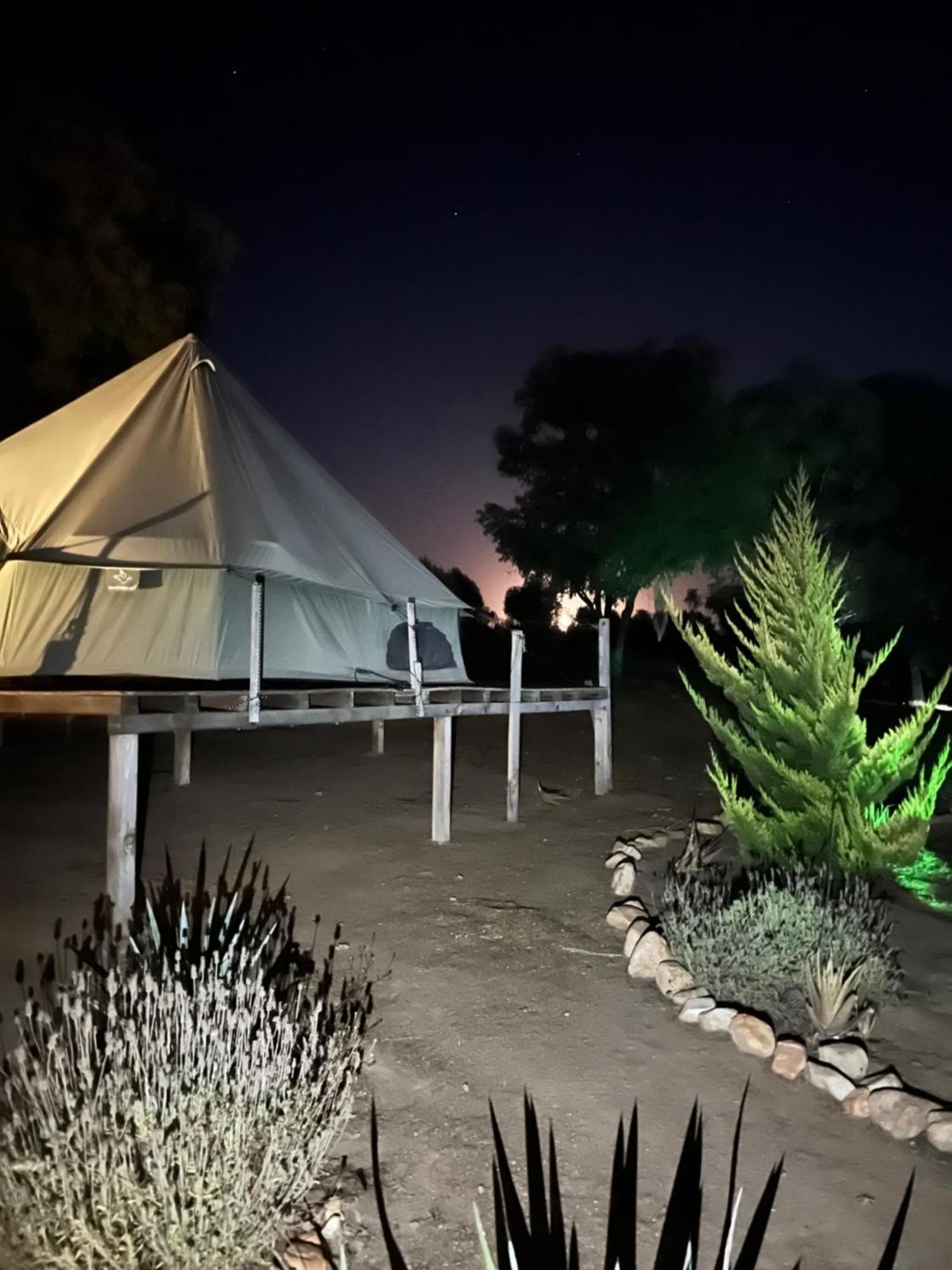 Lago Valle Wine Glamping Valle de Guadalupe Eksteriør bilde